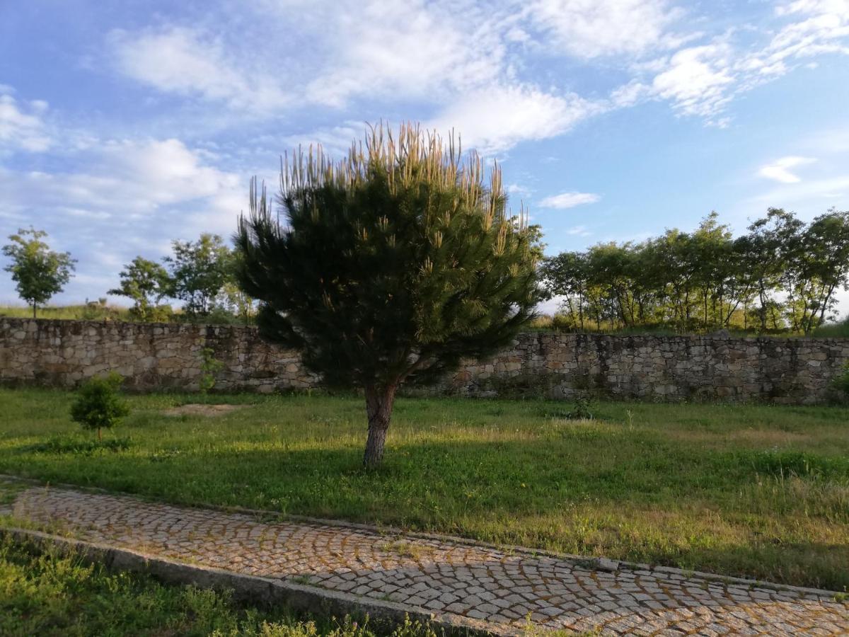 Quinta Dos Carvalhais - Serra Da Estrela Fornos de Algodres Exterior foto